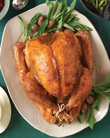 Turkey Tips