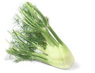 Fennel