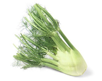 Fennel recipes