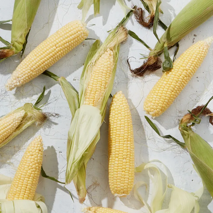 Meet the Farmer Altobelli Family Farm FreshDirect