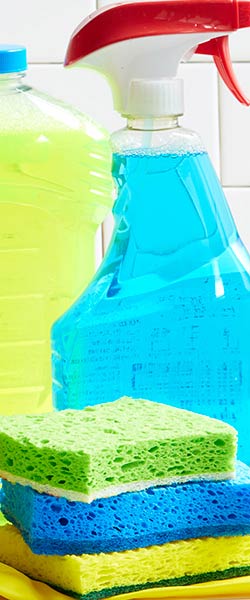 Household department