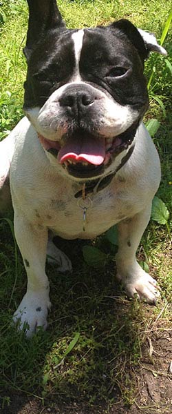 Department background