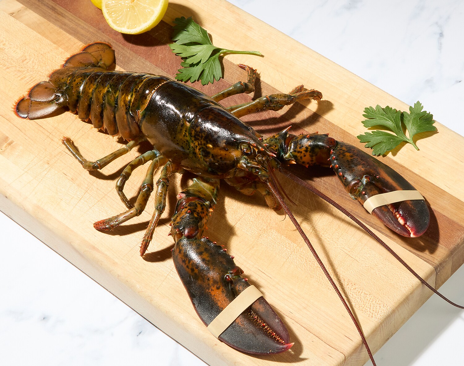 Live New Shell Lobster, image 2 of 2 slides