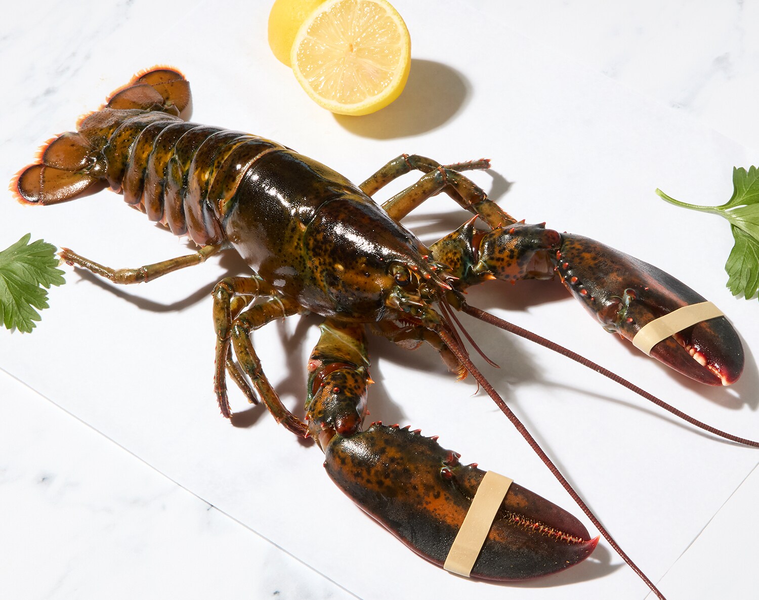 Live New Shell Lobster, image 1 of 2 slides