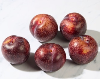 Family Tree Farms King Kong Plumcot