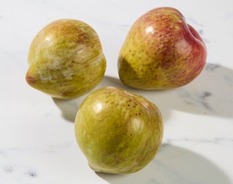Family Tree Farms Flavor Gator Plumcot