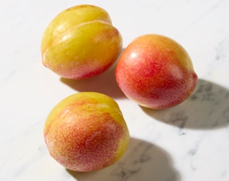 Family Tree Farms Gold Rush Plumcot 