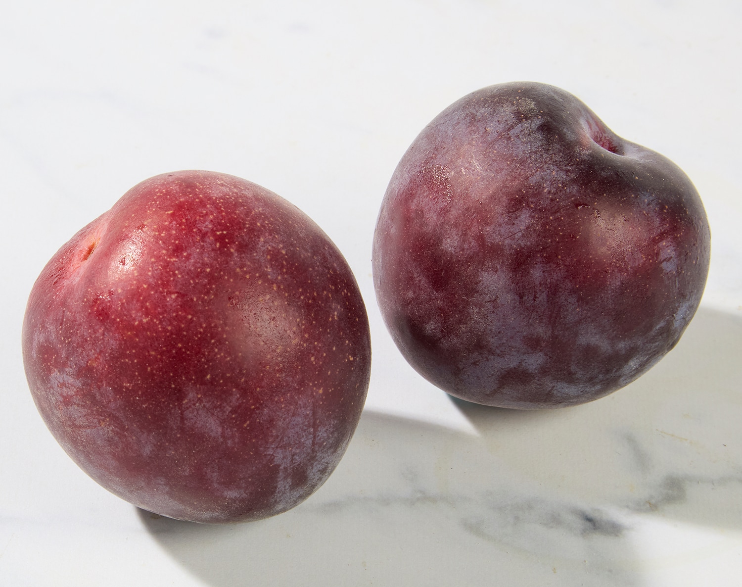 Family Tree Farms Midnight Rose Aprium