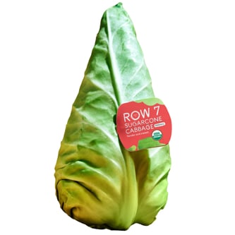 Row 7 OG Sugarcone Cabbage