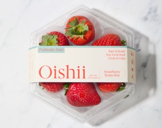 Oishii Strawberry Bento Box