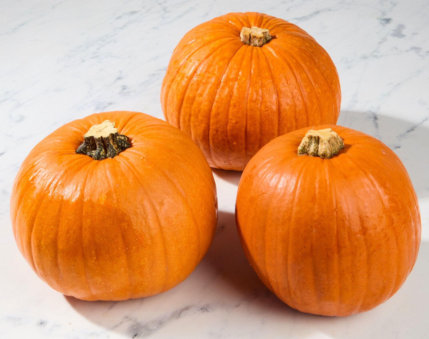 Organic Sugar Pumpkin