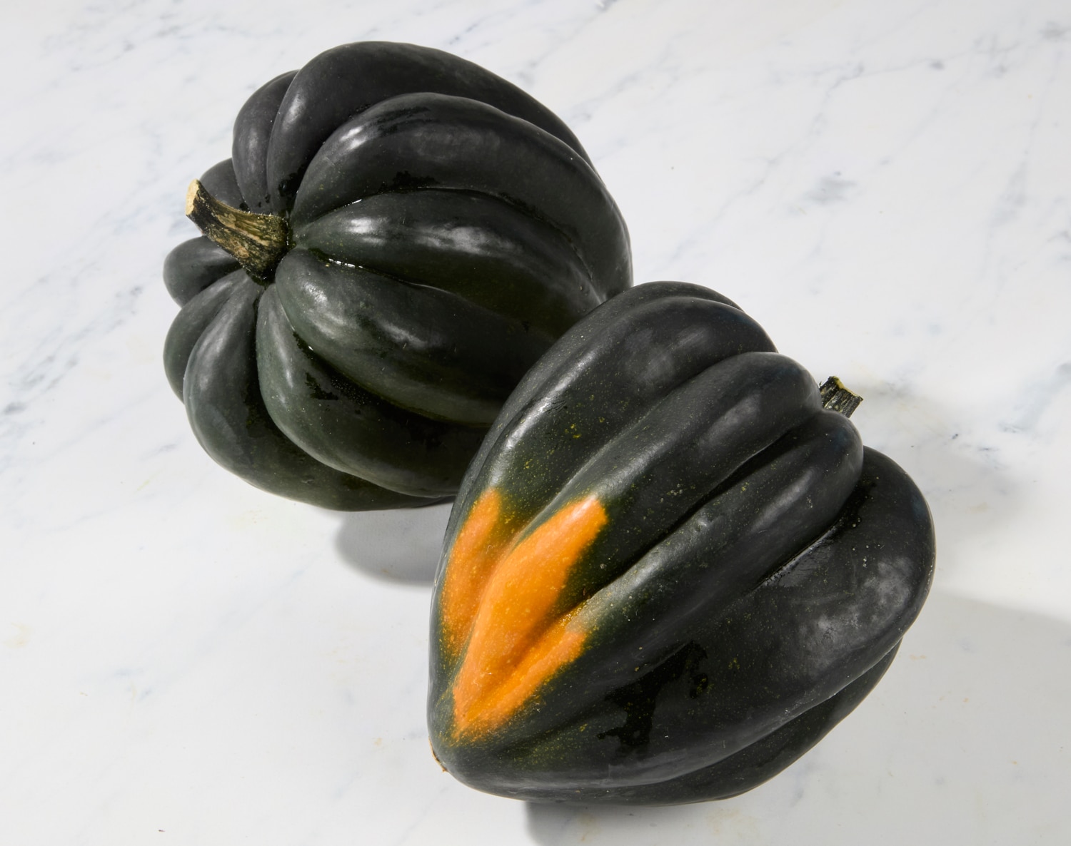 Lancaster Farm Fresh Cooperative Local Organic Acorn Squash