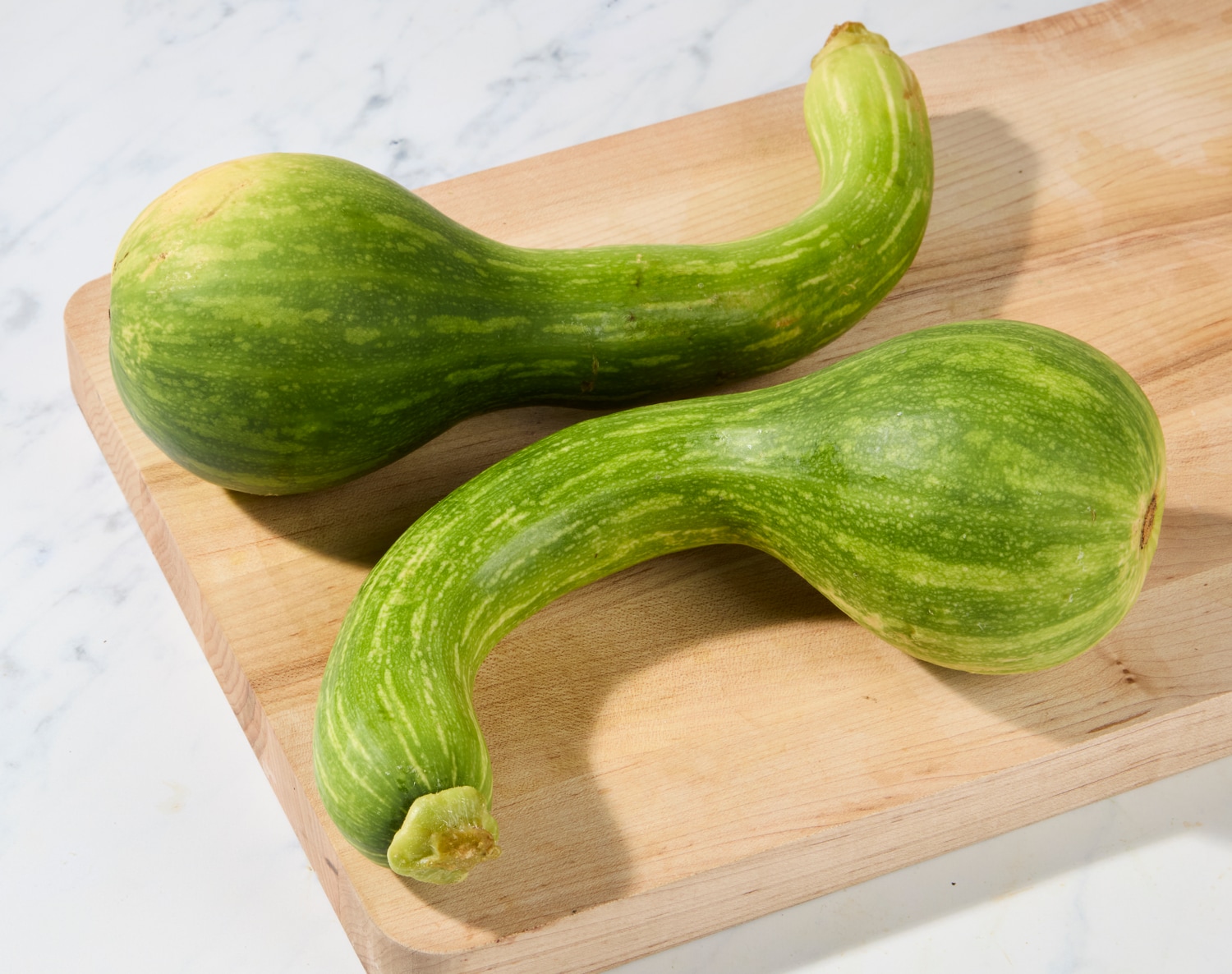Lancaster Farm Fresh Cooperative Organic Centercut Squash, image 2 of 2 slides