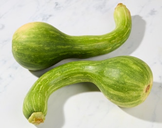 Lancaster Farm Fresh Cooperative Organic Centercut Squash
