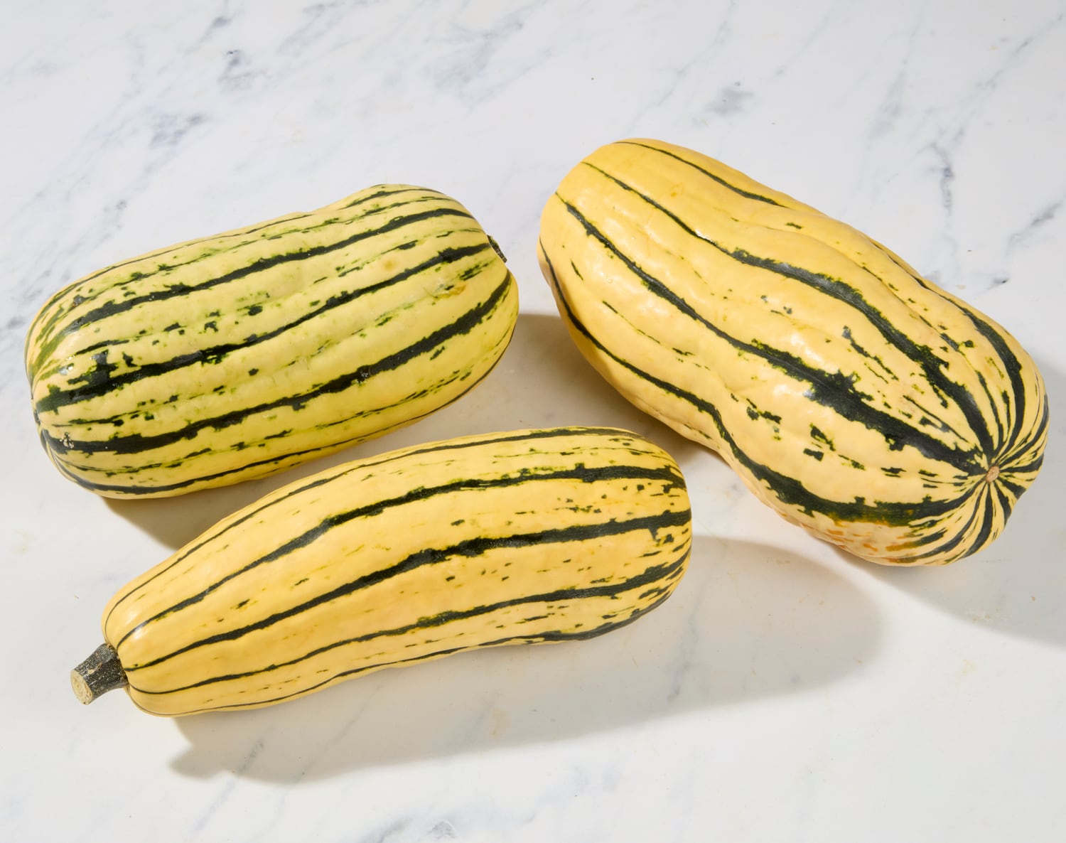 Organic Delicata Squash