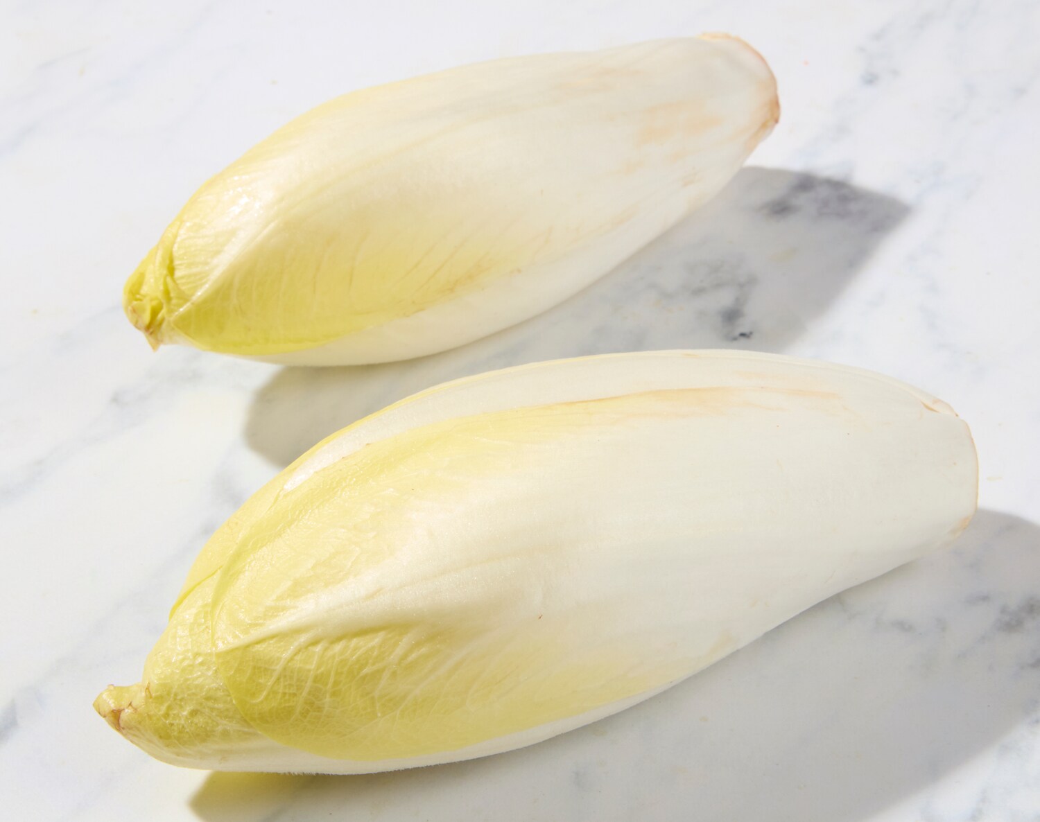 Belgian Endive, image 1 of 2 slides
