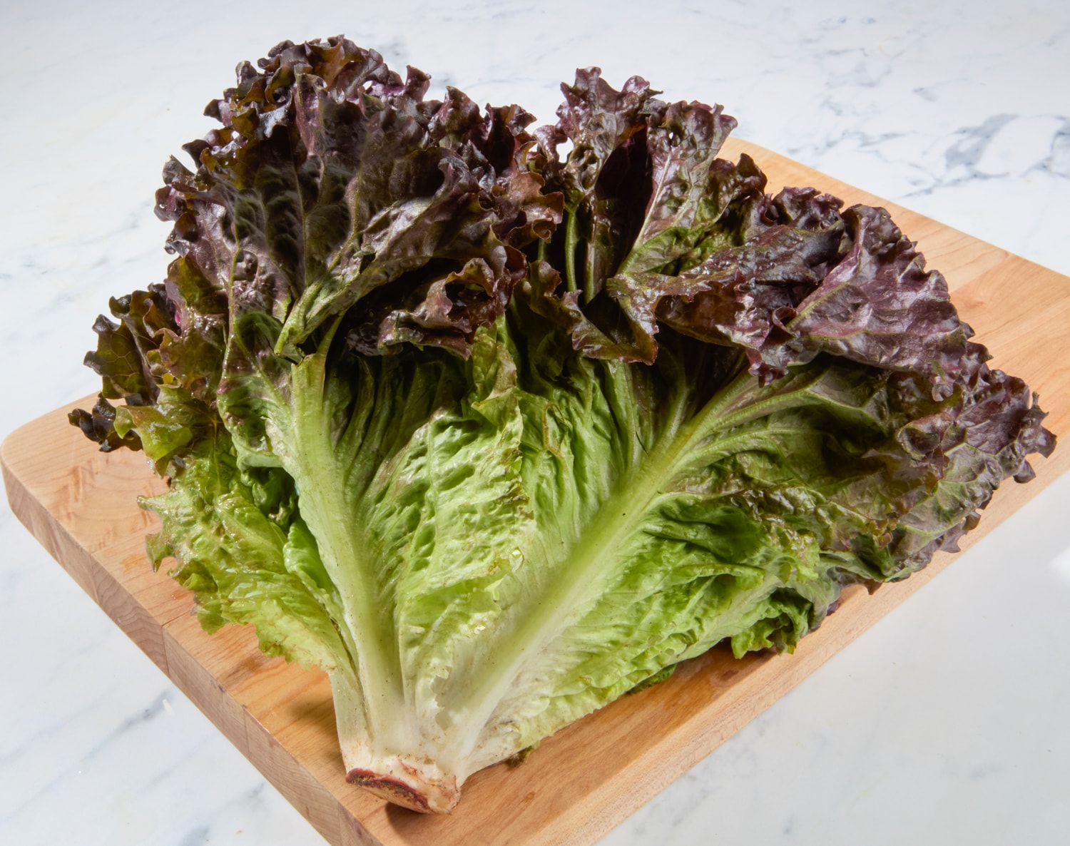 Organic Red Leaf Lettuce, image 2 of 2 slides