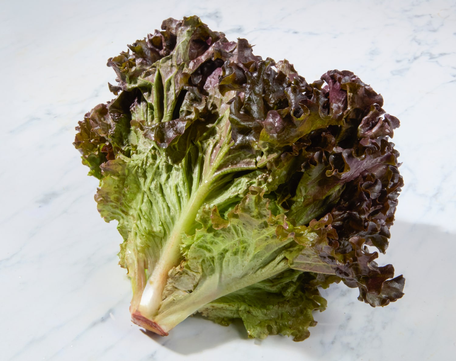Organic Red Leaf Lettuce, image 1 of 2 slides