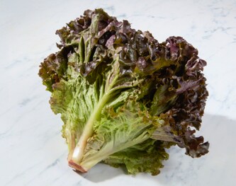 Organic Red Leaf Lettuce