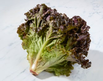 Organic Red Leaf Lettuce