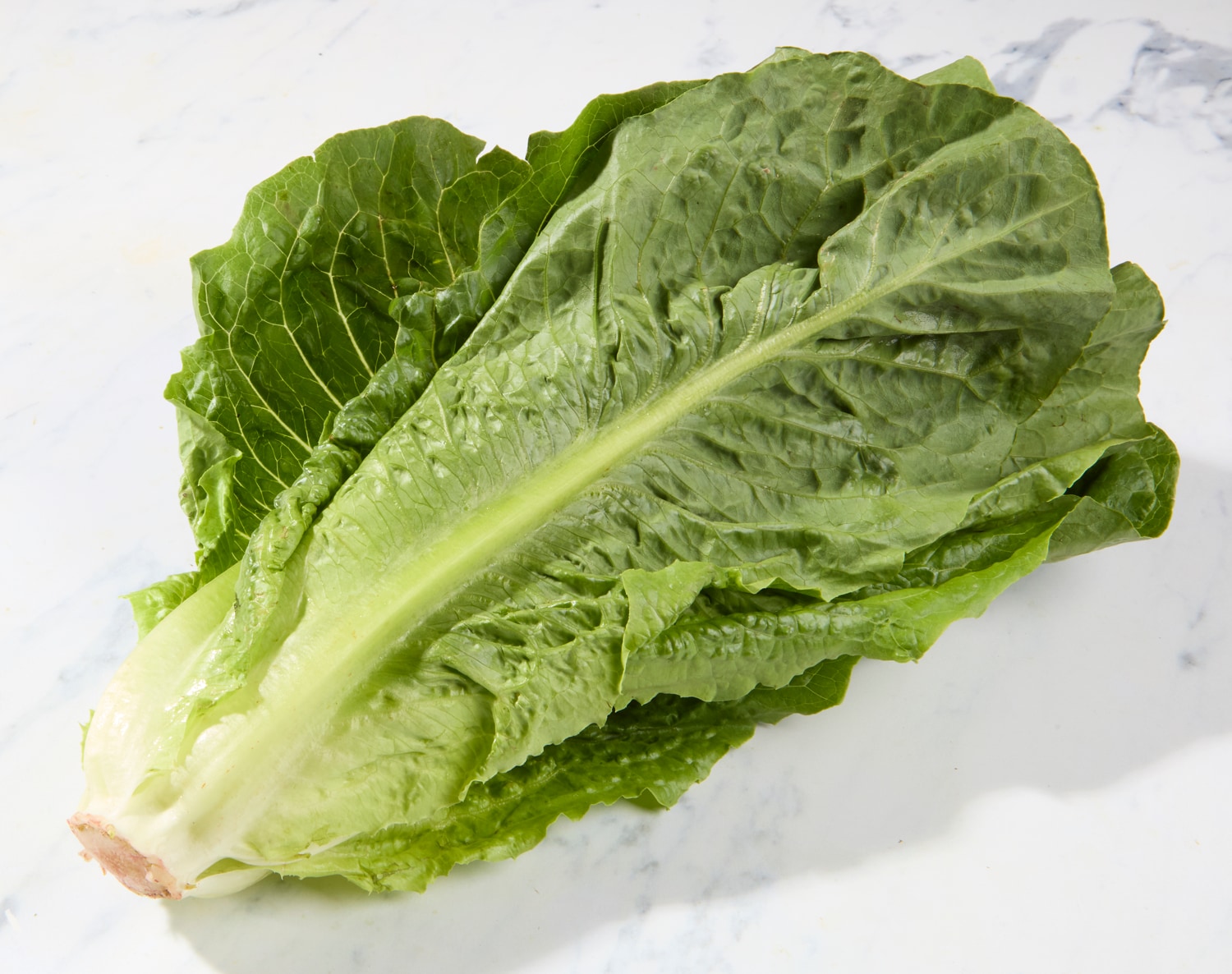 Organic Romaine, image 1 of 2 slides