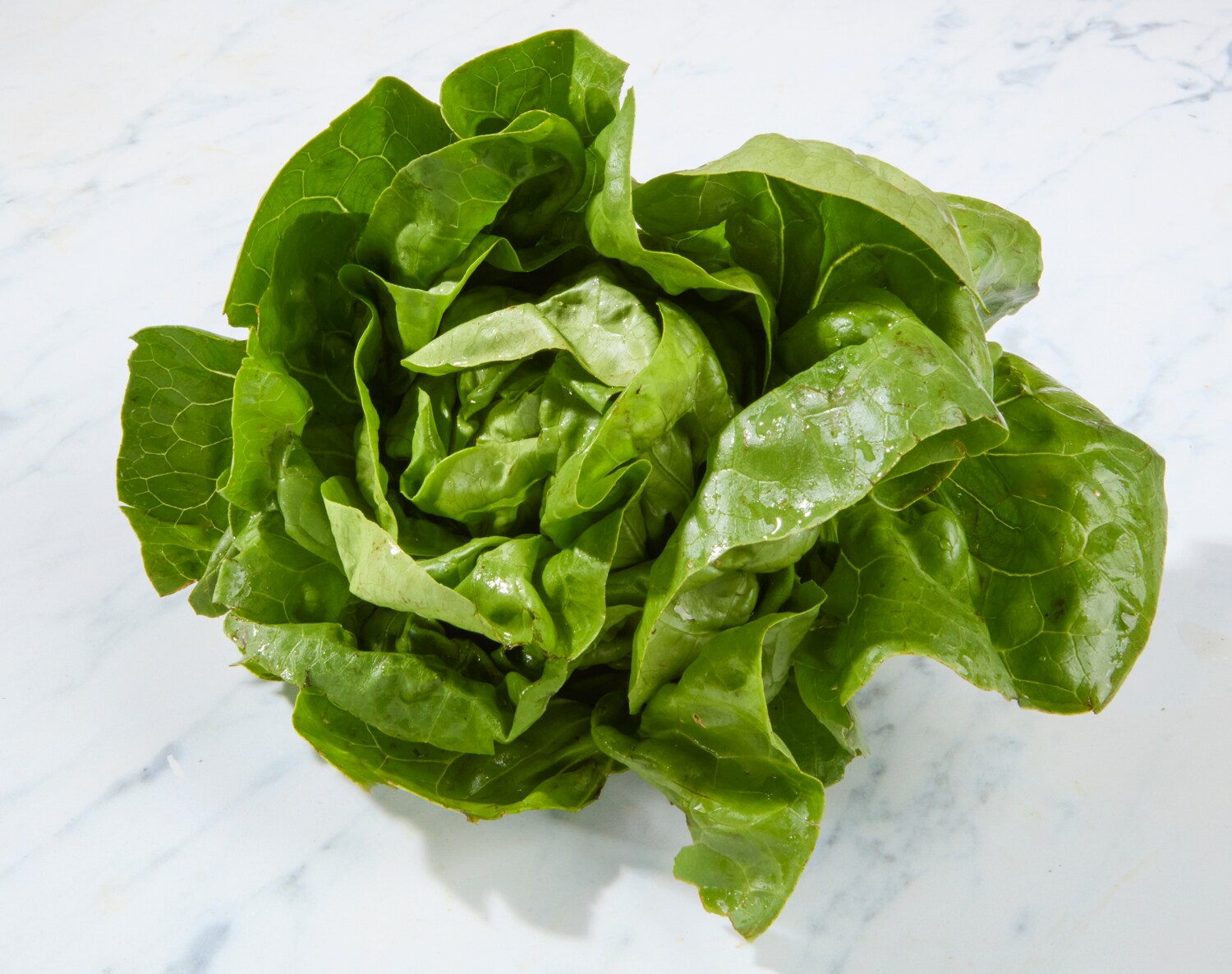 Organic Boston Lettuce, image 1 of 2 slides