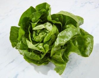 Organic Boston Lettuce