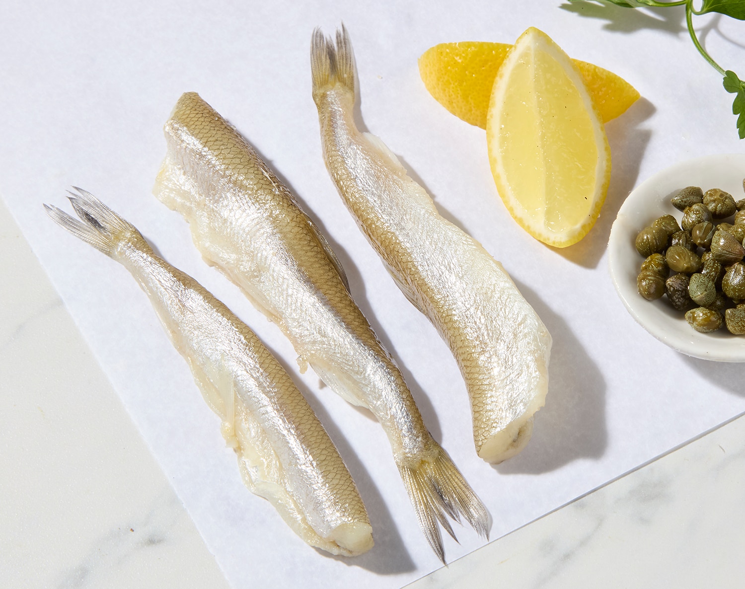 Wild Fresh Smelt