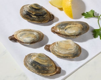 Steamer Clams