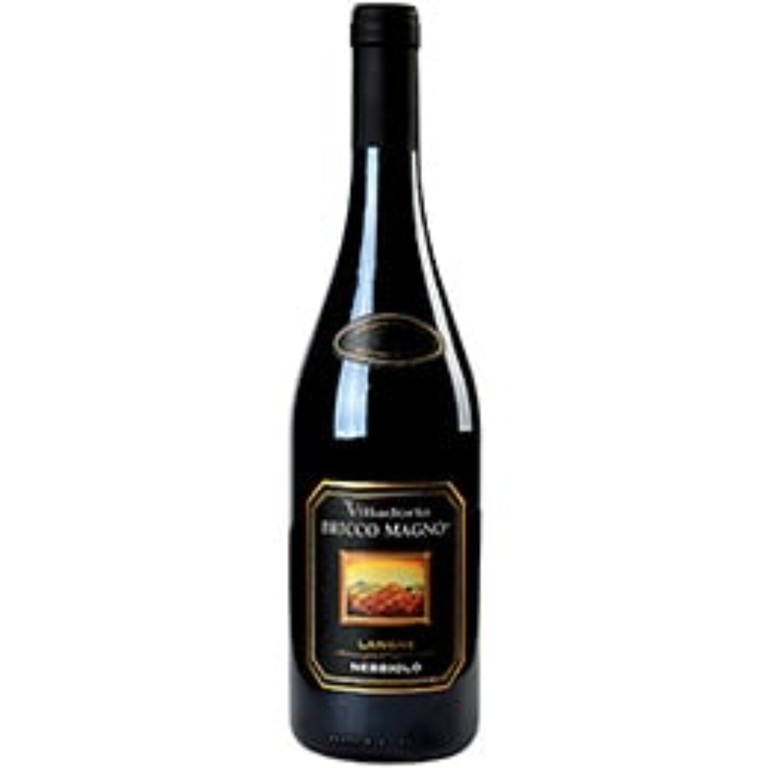 Villadoria "Bricco Magno" Langhe Nebbiolo DOC