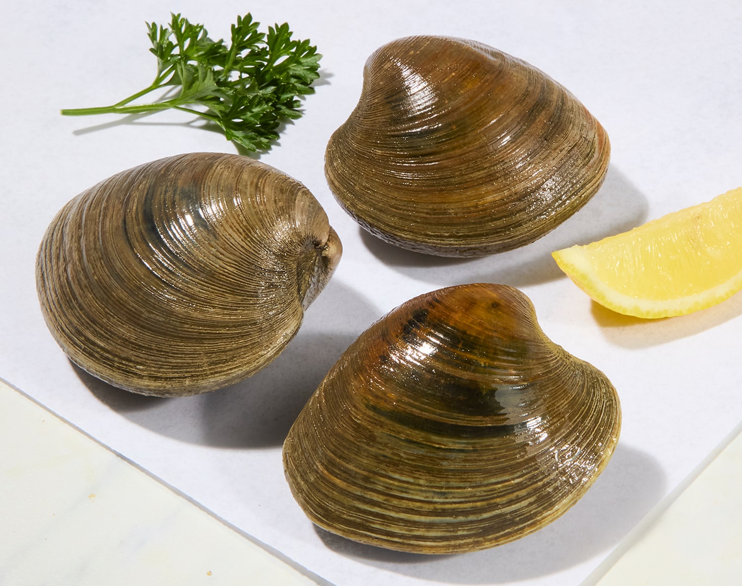 Local Cherrystone Clams
