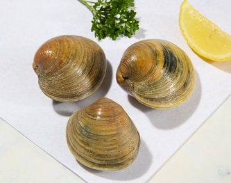 Local Littleneck Clams (Serves 2-3)