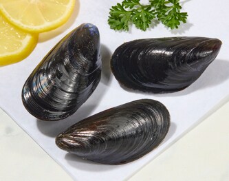 Organic Iceberg Mussels 