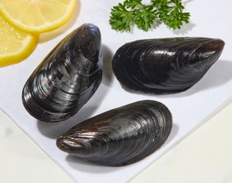 Organic Iceberg Mussels