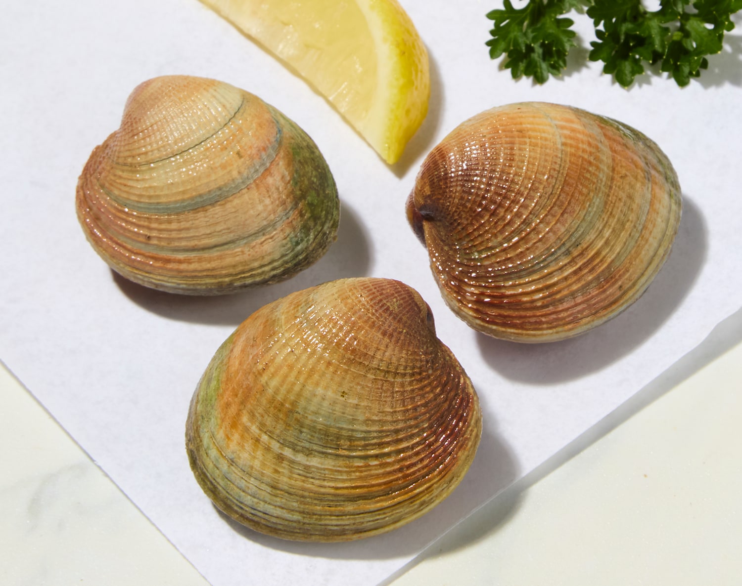 Wild Cockles