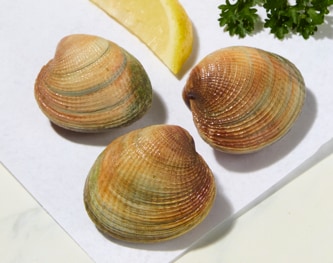 Wild Cockles
