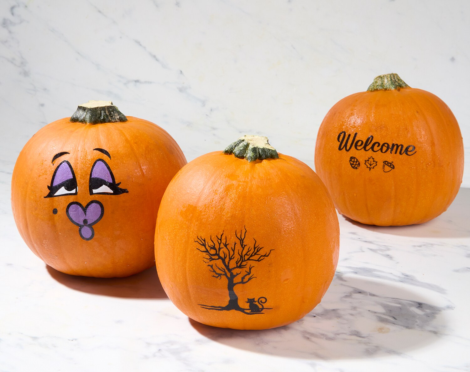 Bay Baby Farms Painted Pumpkin, image 1 of 2 slides