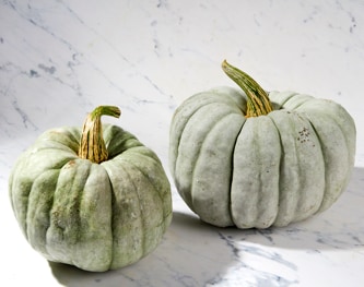 Blue Doll Pumpkin