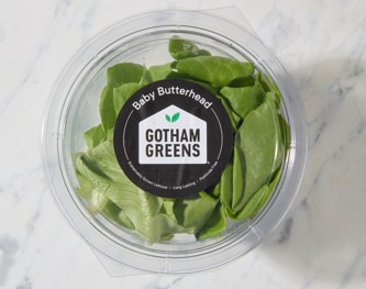 Gotham Greens Local Baby Butterhead Lettuce