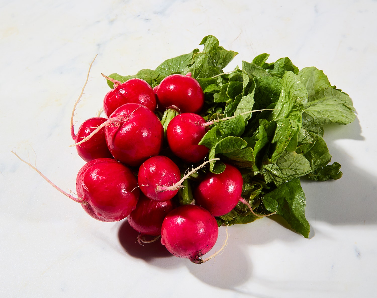 Jersey Fresh Radishes