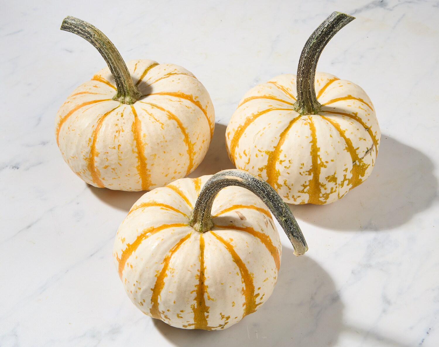 Bay Baby Farms Tiger Stripe Pumpkin