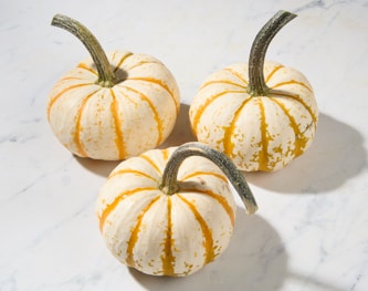 Bay Baby Farms Tiger Stripe Pumpkin