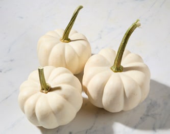 Bay Baby Farms Casper Pumpkin
