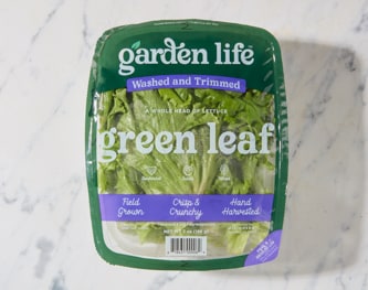 Garden Life Green Leaf
