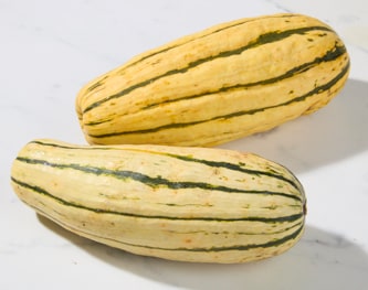 Long Island Delicata Squash 