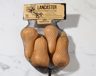Lancaster Farm Fresh Cooperative Organic Honeypatch Squash
