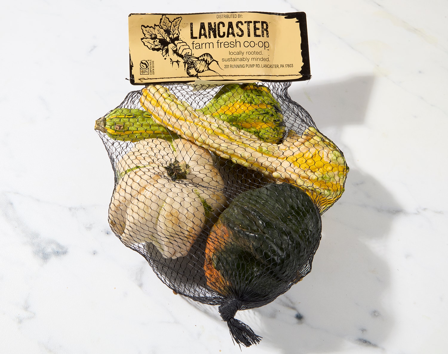 Grown in Pennsylvania Mixed Gourds