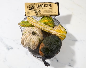 Grown in Pennsylvania Mixed Gourds
