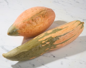 Lancaster Farm Fresh Cooperative Local Organic Candy Roaster Squash