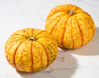 Bay Baby Farms Jester Pumpkin